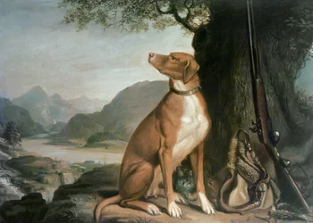 Le chien de chasse préféré de G. M. Johnston dans un paysage